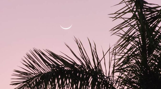Moon with Palm Tree